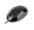 Wired mouse TRACER Neptun USB 45906 black